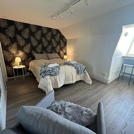 Johanssonin Talo 1849 3*